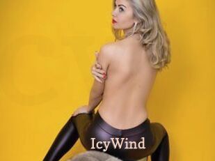 IcyWind