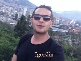 IgorGin