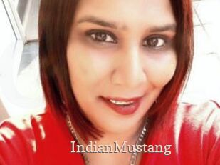 IndianMustang