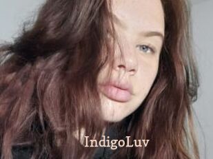 IndigoLuv