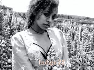 Indigo_22