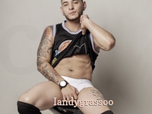 iandygrassoo Chaude Vision
