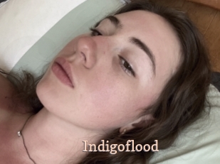 Indigoflood