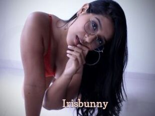 Irisbunny