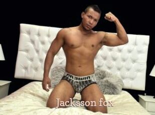 Jacksson_fox