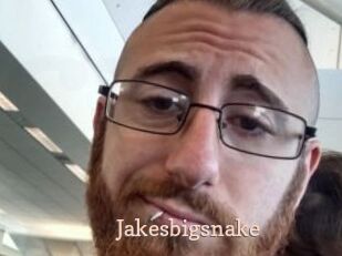 Jakesbigsnake