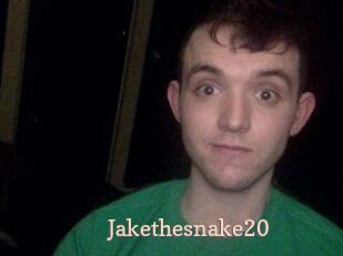 Jakethesnake20