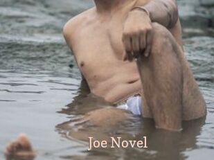 Joe_Novel