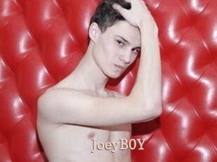 JoeyB0Y