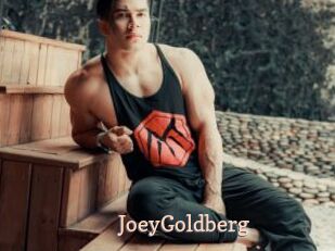 JoeyGoldberg