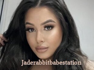 Jaderabbitbabestation