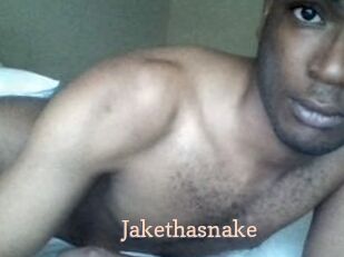 Jake_tha_snake