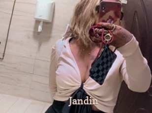 jandin Chaude Vision
