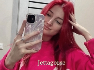 Jettagorse