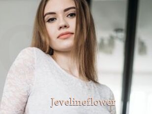 Jevelineflower