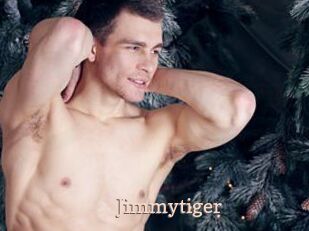 Jimmytiger