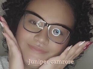 Juniper_camrose