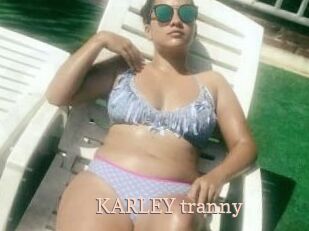 KARLEY_tranny