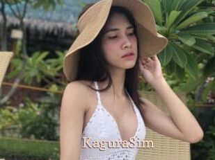 KaguraSim
