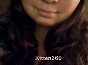 Kitten369