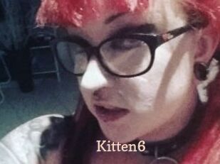 Kitten6