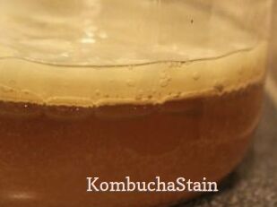 KombuchaStain