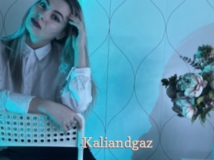 kaliandgaz Chaude Vision