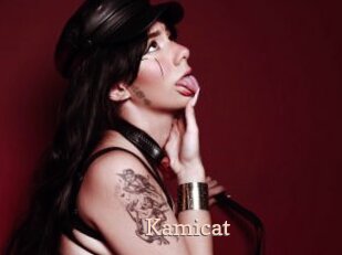 Kamicat