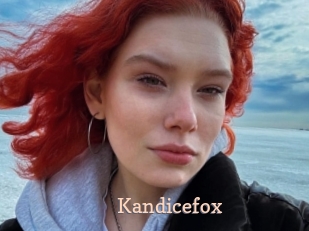 Kandicefox