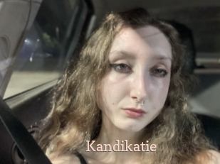 Kandikatie