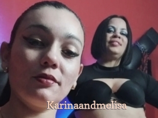 Karinaandmelisa
