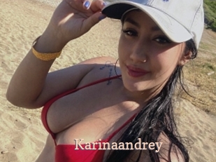 Karinaandrey