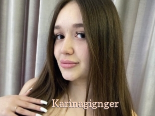 Karinagignger