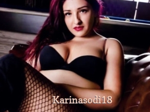 Karinasodi18