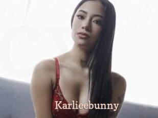Karlieebunny