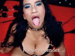 kataleyamendez Chaude Vision