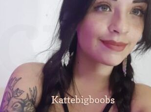 Kattebigboobs