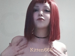 Kitten666