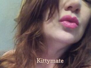 Kittymate
