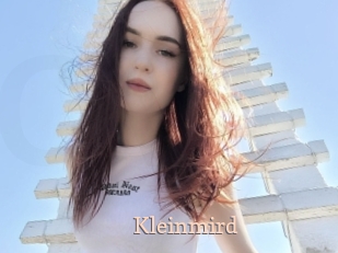 Kleinmird