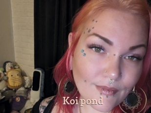 Koi_pond