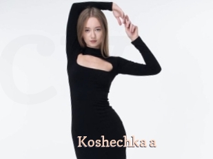 Koshechka_a