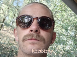 Krisbirdy
