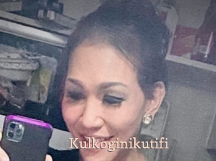 Kulkoginikutifi