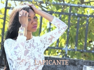 LAPICANTE