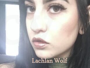 Lachlan_Wolf