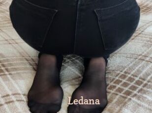 Ledana Chaude Vision