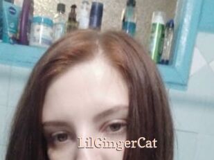 LilGingerCat