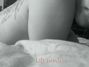 Lily_roseh
