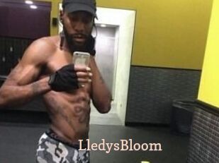 Lledys_Bloom